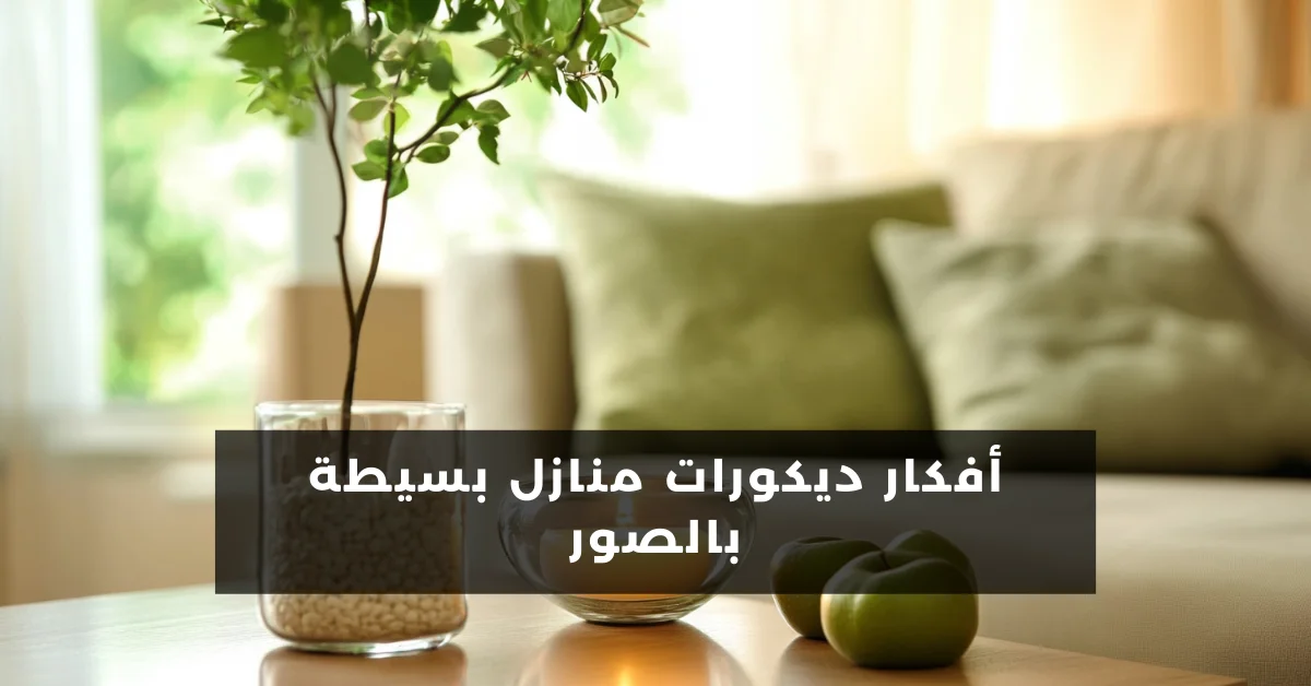 أفكار ديكورات منازل بسيطة 2024 بالصور